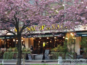 Facade in Sakura Season