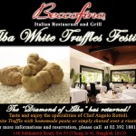 White Truffles from Alba