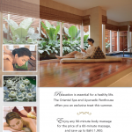 Oriental Spa (image credit: Oriental Spa)