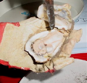 Louisiana Oysters
