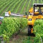Wine Harvester