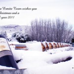 felicitacion casa ermita 2010 english