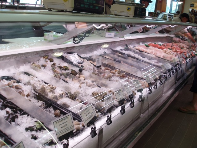Seafood cases 3