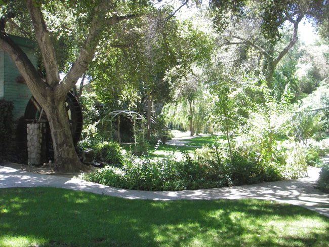 Garden at Le Chene