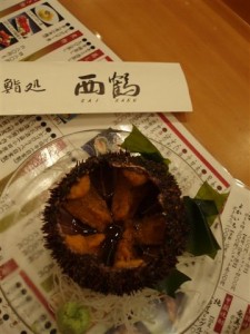 Sea Urchin in Shell