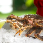 JANBN07H-alaskan king crab