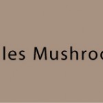 chanterelles_mushroom