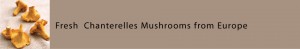 chanterelles_mushroom